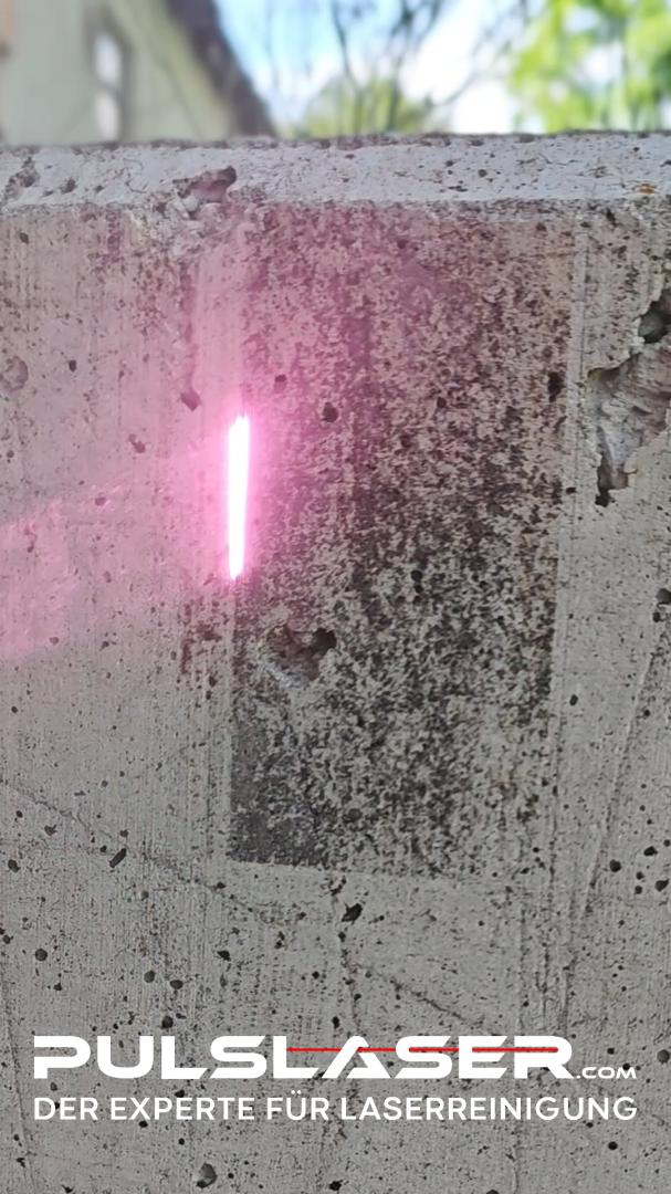 Beton Stützmauer reinigen